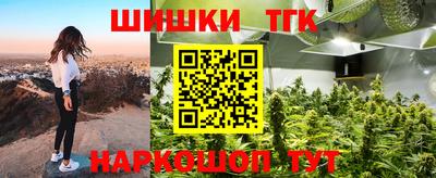 МДПВ Сланцы