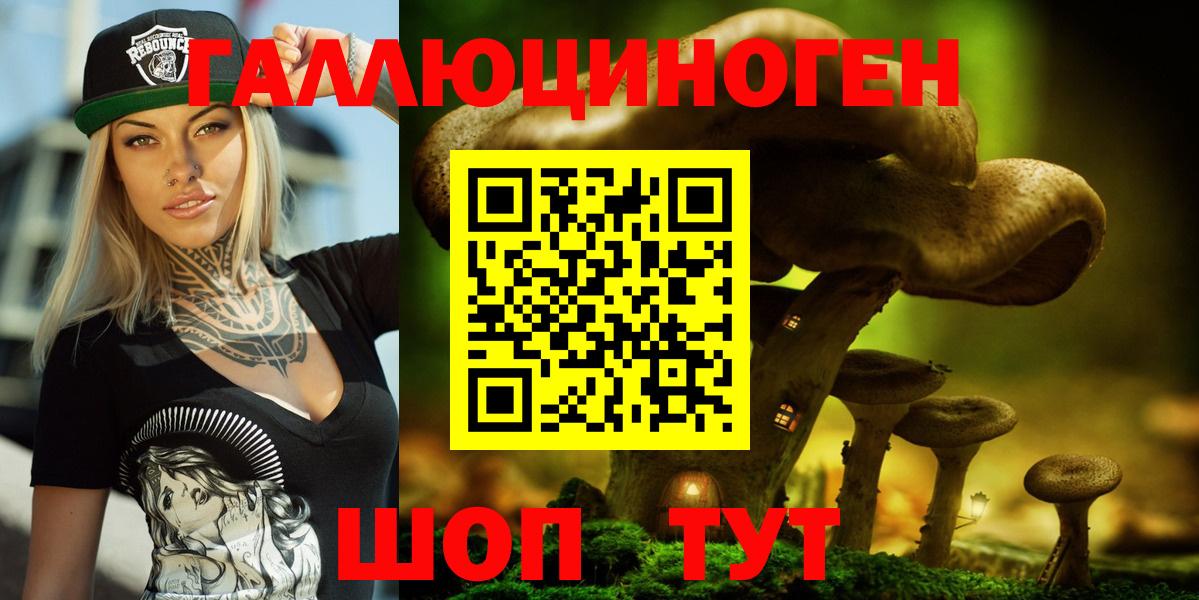 Новоалександровск  Галлюциногенные грибы GOLDEN TEACHER  Вход с VPN  Псилоцибиновые грибы мухоморы 